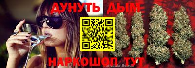 прущий лед Гусев