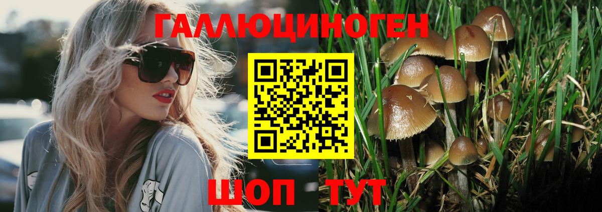 Лесной  наркотики  Вход с VPN  Галлюциногенные грибы Psilocybine cubensis  Псилоцибиновые грибы Magic Shrooms 