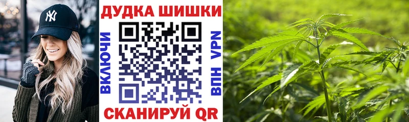 Бошки марихуана OG Kush  Лесной 