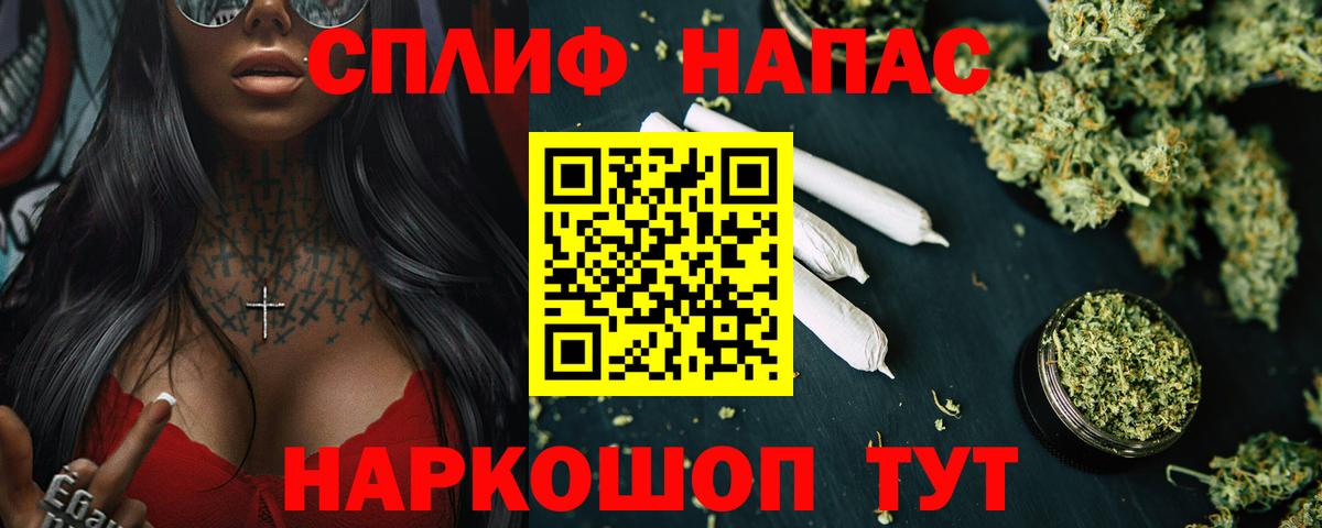 Бошки Шишки Amnesia  Каннабис семена  Лесной  Вход с VPN 